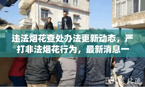 2025年1月 第6页