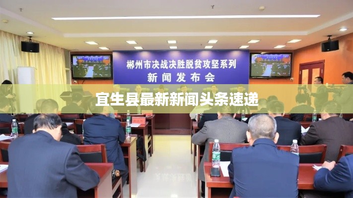 宜生县最新新闻头条速递