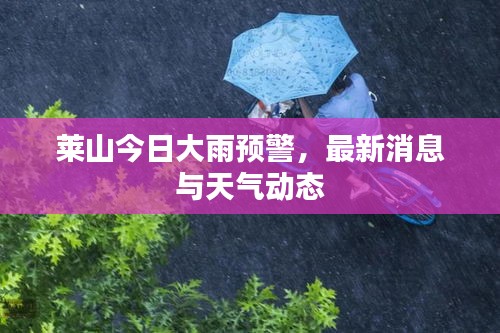 物以稀为贵 第2页