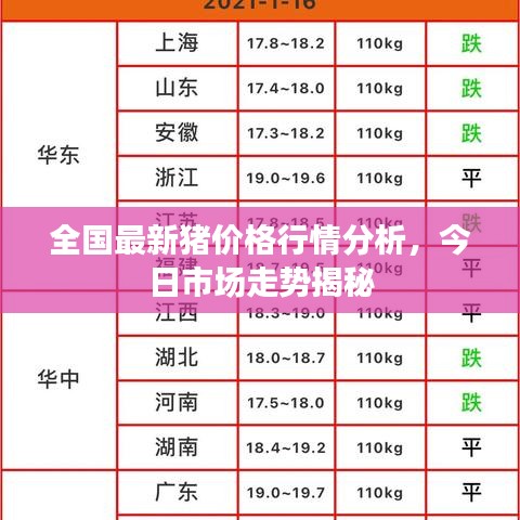 虎背熊腰 第2页