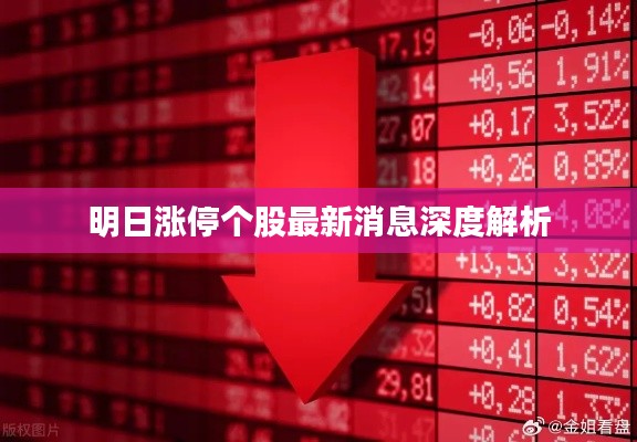凤鸟不至 第2页