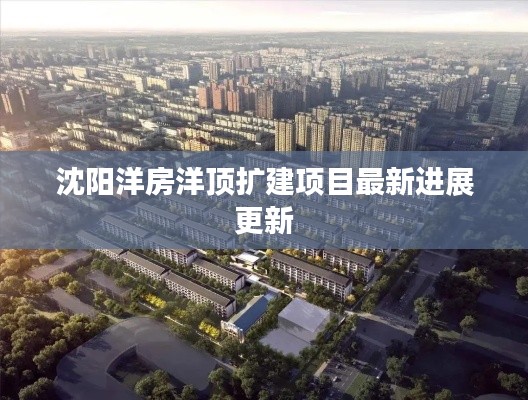 久别重逢 第2页