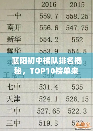 鹤立鸡群 第2页