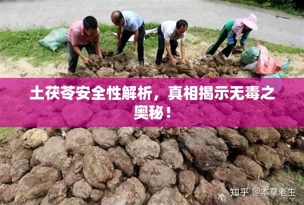 贵农贱商 第2页