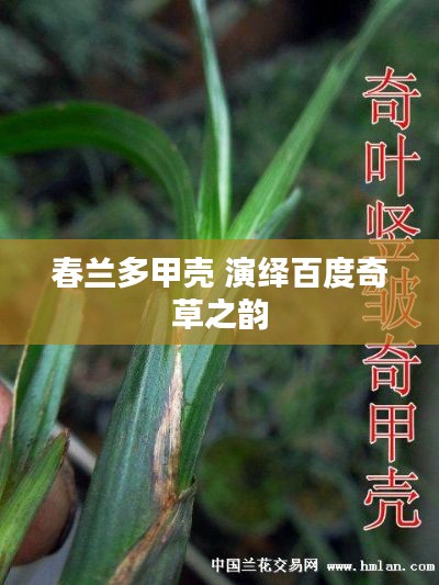月里嫦娥 第2页