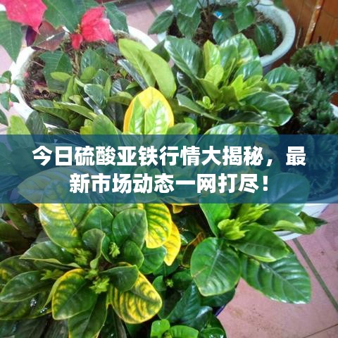 云烟 第2页