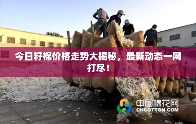 恋恋不舍 第2页