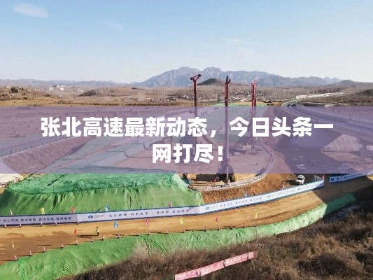 公司简介 第45页