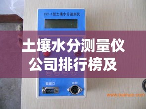 龙飞凤舞