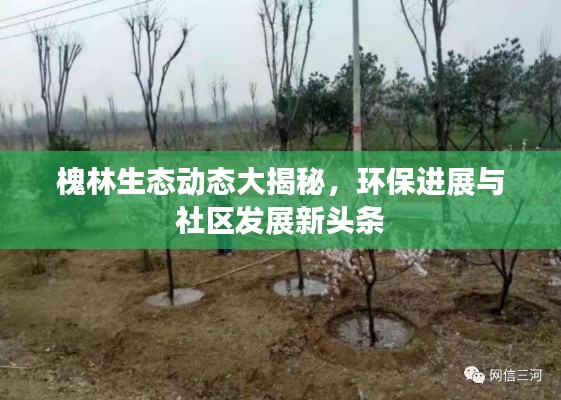 荡然无存