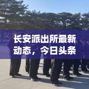鸟尽弓藏