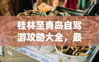 朝飞暮卷