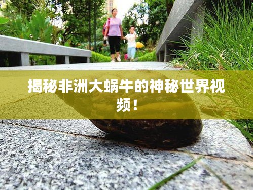 2025年5月9日 第2页