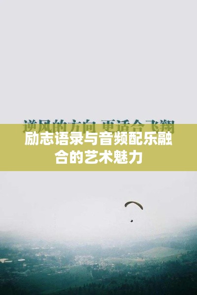 联系我们 第14页