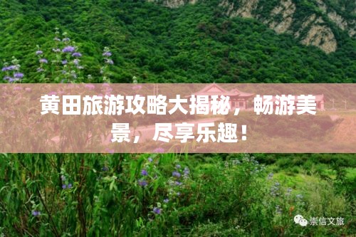 飞珠迸玉