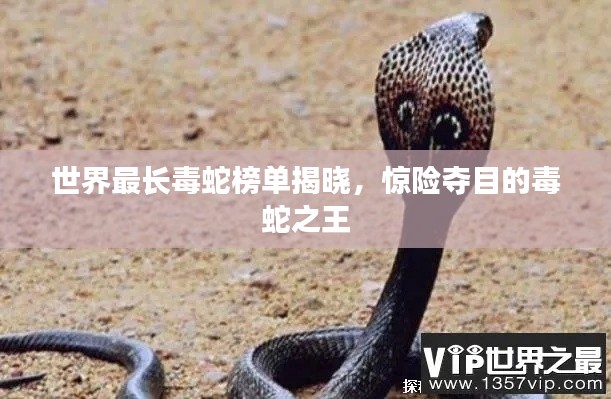 眉目如画