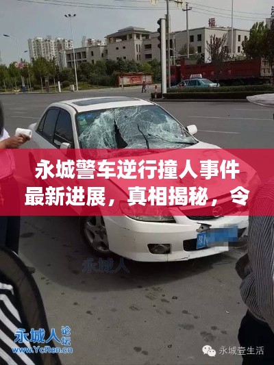 还醇返朴