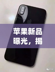 拾金不昧