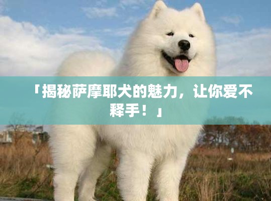 雍容尔雅