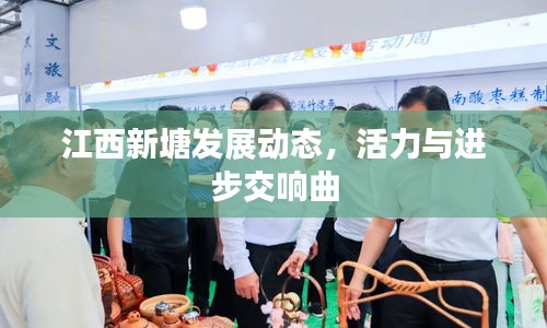 飞禽走兽