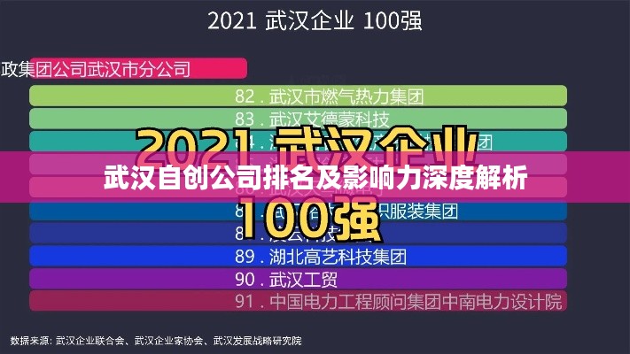 武汉自创公司排名及影响力深度解析