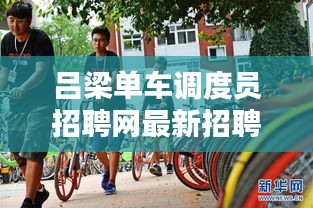 吕梁单车调度员招聘网最新招聘动态速递