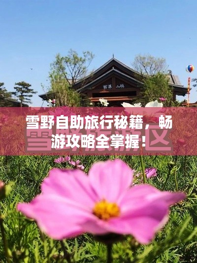雪野自助旅行秘籍，畅游攻略全掌握！