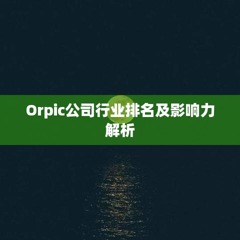 Orpic公司行业排名及影响力解析