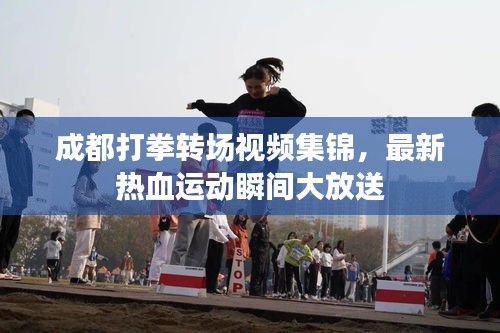 成都打拳转场视频集锦，最新热血运动瞬间大放送