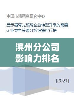 滨州分公司影响力排名及地位分析