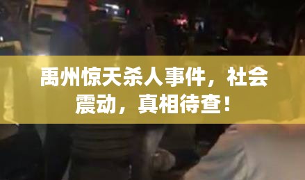 禹州惊天杀人事件，社会震动，真相待查！