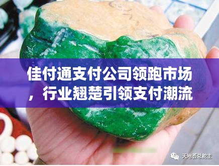 飞鸟依人