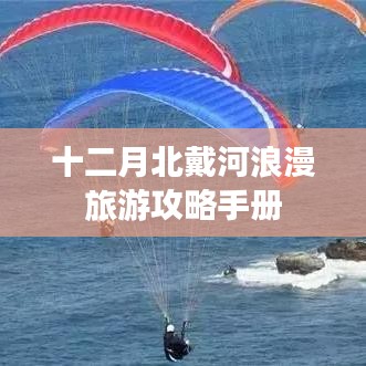 坌鸟先飞