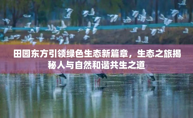 小家碧玉