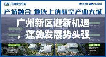 广州新区迎新机遇，蓬勃发展势头强劲的新闻头条
