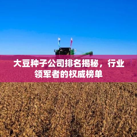 大豆种子公司排名揭秘，行业领军者的权威榜单