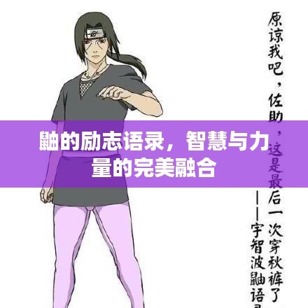 2025年6月 第4页