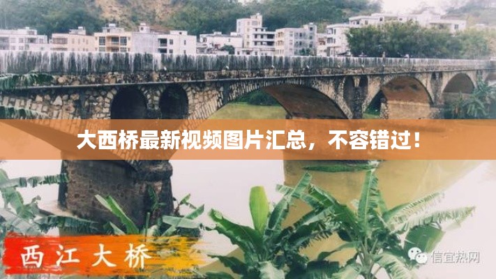 大西桥最新视频图片汇总，不容错过！