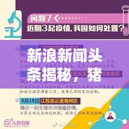 新浪新闻头条揭秘,猪瘟疫情最新动态报告