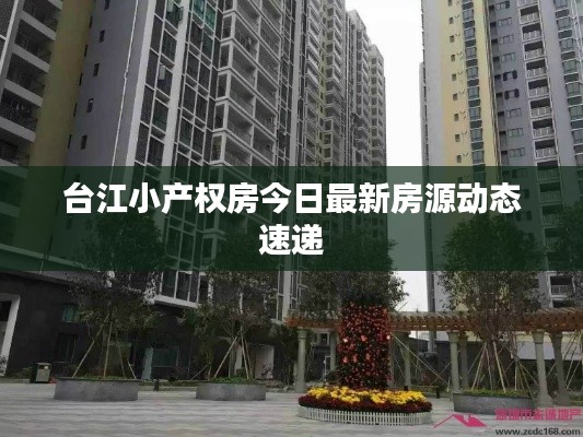 台江小产权房今日最新房源动态速递