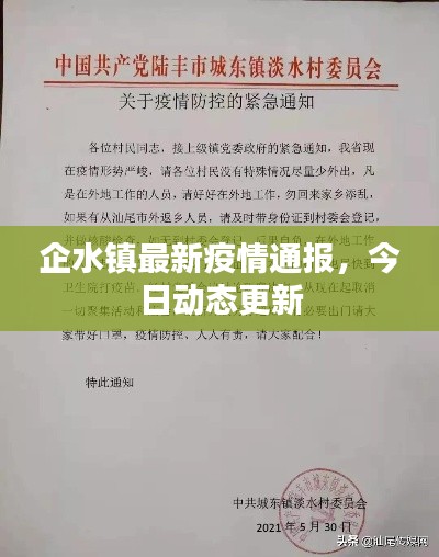 企水镇最新疫情通报，今日动态更新