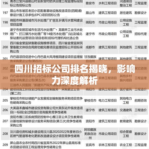 四川招标公司排名揭晓，影响力深度解析