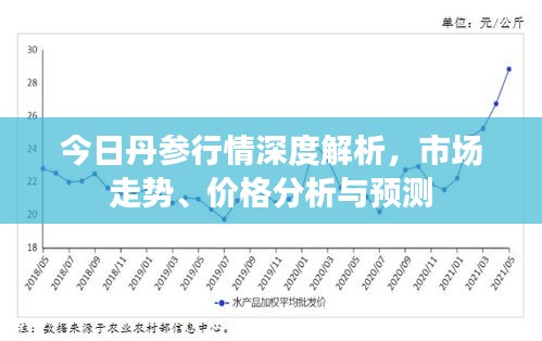 今日丹参行情深度解析，市场走势、价格分析与预测