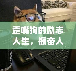 2025年6月29日